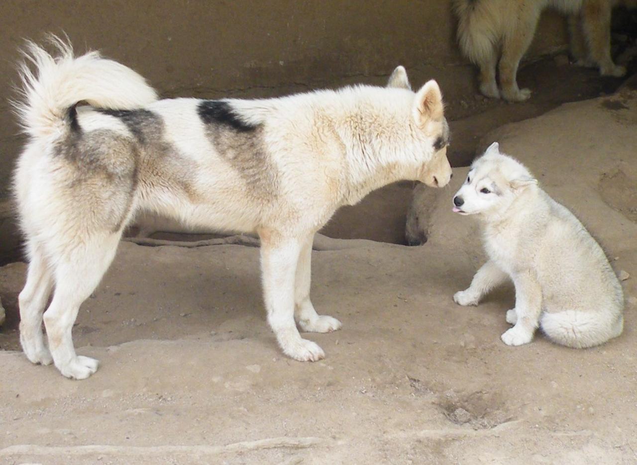 Karma et Hyoko