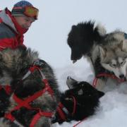 Nicolas et ses chiens